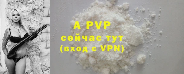 индика Баксан