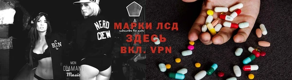индика Баксан