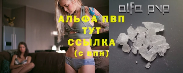 мяу мяу мука Пестово