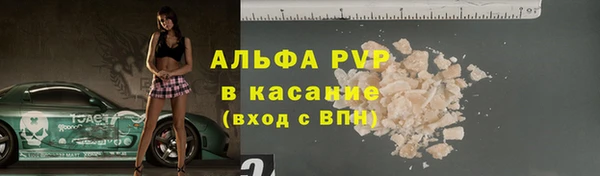 индика Баксан