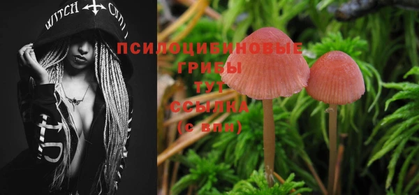 индика Баксан