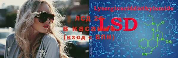 индика Баксан