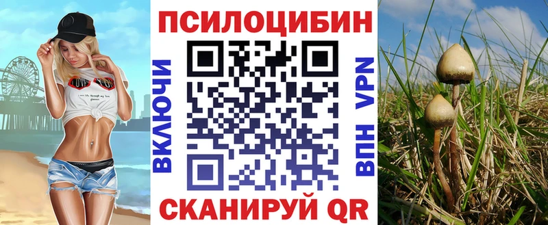 купить закладку Кукмор Галлюциногенные грибы мухоморы